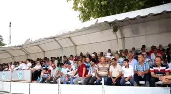 Sapanca'da Mahalli At Yarışlarına Yoğun İlgi