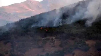 Tunceli ve Nusaybin'de Orman Yangınları