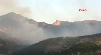 Tunceli ve Nusaybin'de Orman Yangınları