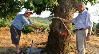 Kireççili Suyuna Tekrar Kavuştu