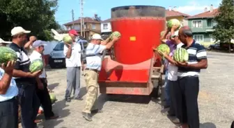 Tekirdağ'ın Meşhur Karpuzu Para Etmeyince Hayvanlara Yem Oldu