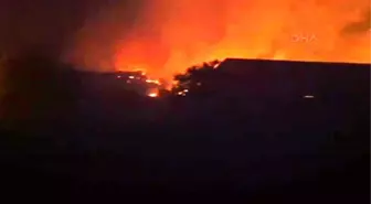 Mardin Bagok Dağı'ndaki Yangın Devam Ediyor