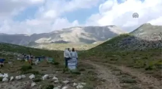 Akseki'de Bal Üretiminde Düşüş