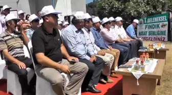 Ordu'da Fındık Hasat Şenliği