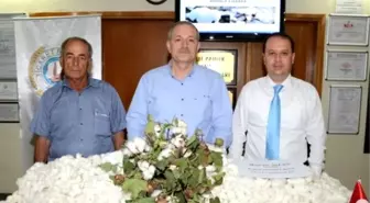 Pamukta Üretim Artışı Zamma Bağlı