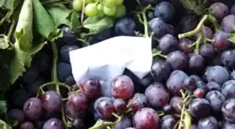 Tekirdağ'ın Meşhur Üzümü Pazardaki Yerini Aldı