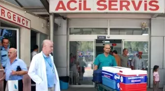 Beyin Ölümü Gerçekleşen Şahsın Organları 5 Kişiye Umut Oldu