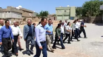 Hdp'li Heyet Silopi'de İncelemelerde Bulundu