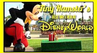 Minmoş Hamsterın Bir Günlük Walt Disney Macerası