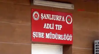 Şanlıurfa - Tartıştığı Kardeşini Tüfekle Öldürdü