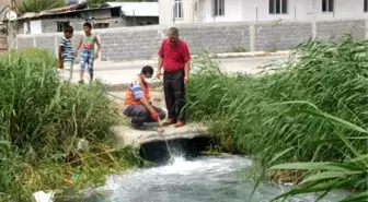 Sinekten Uzak, Temiz İlçeler İçin Gece Gündüz Mesai