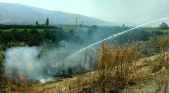 Kuyucak'ta Anız Yangını