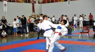 Karadeniz ve Hazar Ülkeleri Karate Şampiyonası Sona Erdi