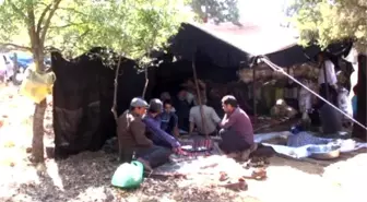 Yörükler ve Kızılderililerin Şaşırtan Benzerlikleri