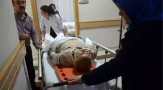 Fındık Bahçesinde Yüksekten Düşen Eski Vekil Ağır Yaralandı