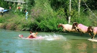 800 Yıllık Aşkın Anısı Yaşatılıyor