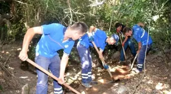 Büyükşehir, 15 Yıl Sonra Tarımı Tekrar Canlandırdı