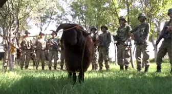 Faciadan Dönen Karakolda Kurban Kesildi