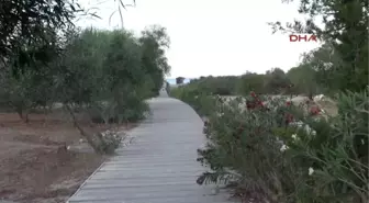 Kaş Carettalar'ın Akdeniz Yolculuğu Başladı