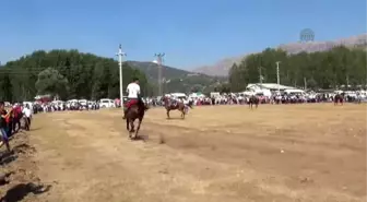 Seydikemer'de Atlı Cirit Gösterisi Yapıldı