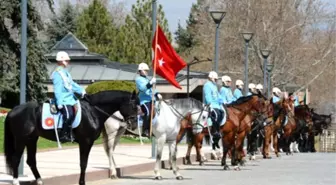 Devlet Başkanlarını Karşılayan Süvari Atları Bursa'da Yetiştiriliyor