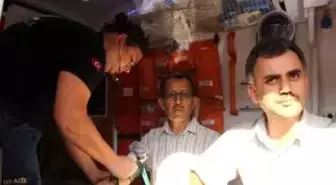 Yirmi Saat Sonra Ormanda Bulundular