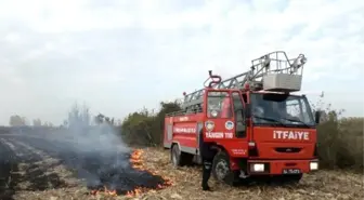 Yetkilerin Uyarılarına Rağmen Anız Yakılmaya Devam Ediliyor