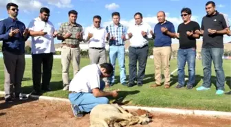 1989 Aksarayspor Sezonu Açtı