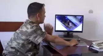 İzci Köpek 'Zağar' Jandarmanın Hizmetinde