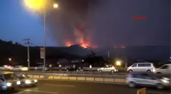 Bursa Rüzgar Yangın Söndürme Çalışmalarını Engelliyor