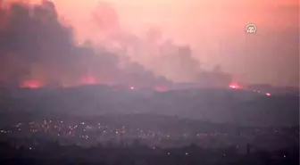 Mudanya'da Ormanlık Alanda Yangın Çıktı (3)