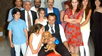 Bafra'da Sokak Köpekleri Filmi Çekildi