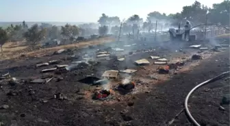 Doğanbey Yangınında Yüzerce Kovan Arı ve Bal Teef Oldu