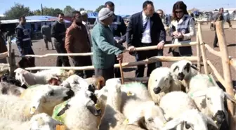 Kurban Bayramında Koç Kesin Çağrısı