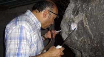 Antalya'da Şark Çıbanı Vakalarıyla Mücadele Çalışmaları
