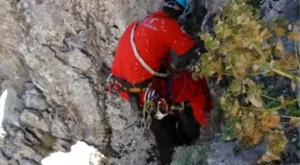 Akut, Dağda Mahsur Kalan Altı Keçiyi Kurtardı
