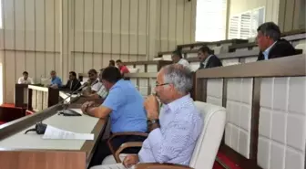 Muş İl Genel Meclisi'nden 'Kum Santrali' Açıklaması