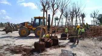 Expo Antalya Alanına Türkiye Ormanı Kurulacak