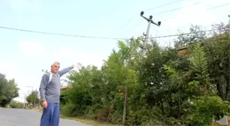 10 Yıldır Yan Duran Elektrik Direği Tehlikeye Davetiye Çıkartıyor