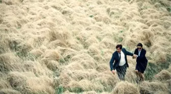 Fragman: The Lobster'dan İlk Video Klip