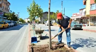 Körfez'de Yeşillendirme Seferberliği Devam Ediyor