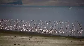 Van'daki Görsel Şölen, Terörün Gölgesinde Kaldı