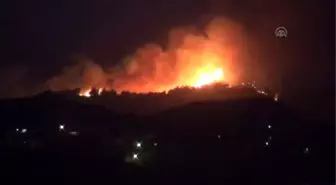 Hatay'daki Orman Yangını