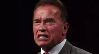 Arnold Schwarzenegger Replaces Trump As Host For 'The Celebrity Apprentice'