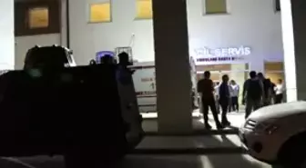 Nusaybin ve Hakkari'deki Hain Saldırılarda 5 Polis Şehit Oldu