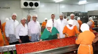 Vali Bektaş Gıda Üretim İşletmelerinde İncelemelerde Bulundu