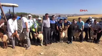 Adıyaman'da Polisler, Şehitler İçin 11 Koyun Kesip, Etleri Dağıttı