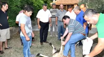 Halk Eğitim Müdürlüğü Kurban Kesim Kursu Verdi