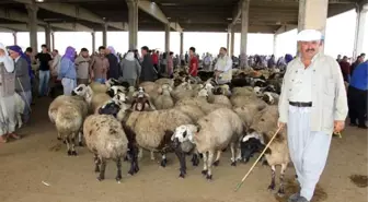 Kurban Piyasasında Durgunluk Hakim