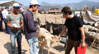 Osmaneli'de Kurban Pazarında Denetim